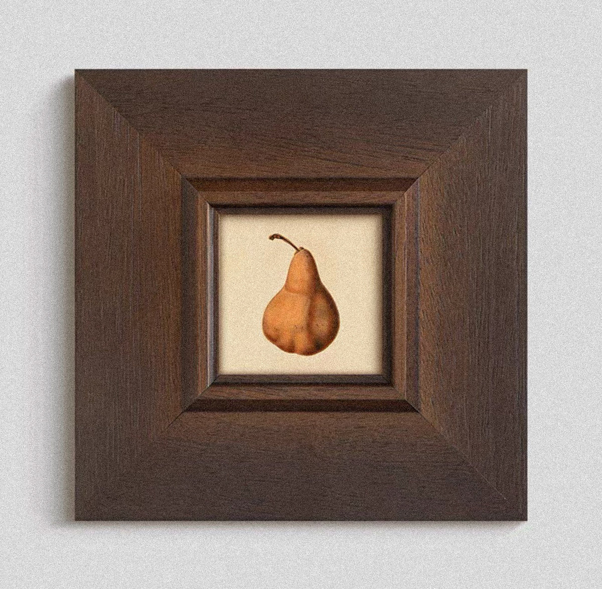 Petite Still Life Collection